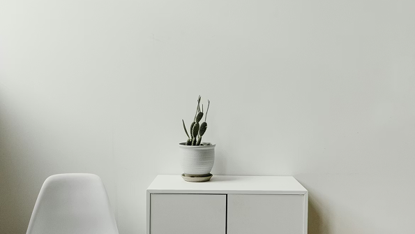 Potted plant on a white cabinet against a plain wall